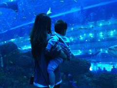 -成都浩海立方海洋公园