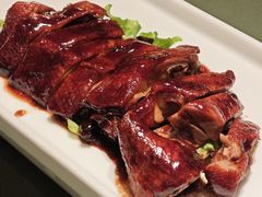 -老吉堂上海本帮菜(望京万象汇店)