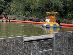 -杭州少年儿童公园