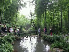 -山沟沟景区
