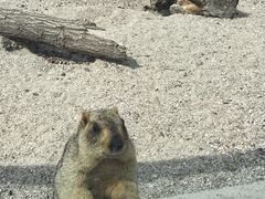 -哈尔滨北方森林动物园