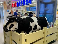 -红星前进面包牛奶公司(君太店)