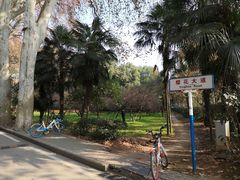 -武汉大学-樱园