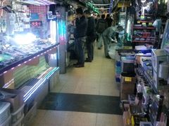 -秋叶原电器街