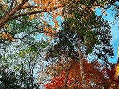 -灵岩山风景区
