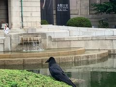 -东京国立博物馆