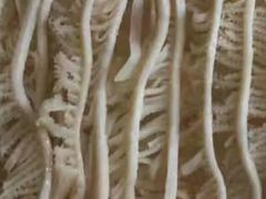 牛肚王-蜀留香火锅·始于1999·原四川老火锅(白堤路店)