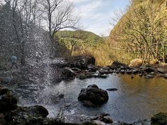 -四明山国家森林公园