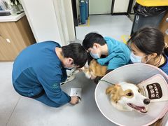 -联合动物医院(光谷诊疗中心)