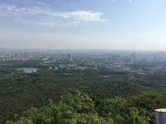 -南京钟山宾馆(江苏省会议中心)