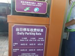 -迪士尼乐园停车场