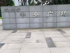 -重庆市江北嘴中央商务区中央公园