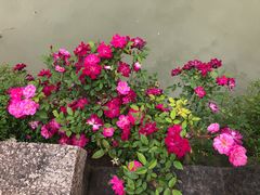 -韩湘水博园