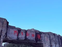 -合肥野生动物园