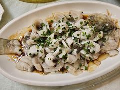 清蒸鱸魚片-津津菜馆(绝没分店)