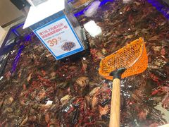 -盒马X会员店(王府井奥莱UP TOWN店)