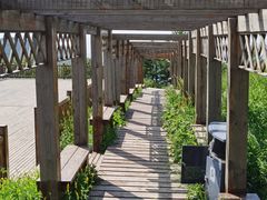 -白草畔自然风景区