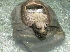 -重庆云阳龙缸景区