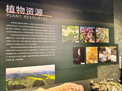 -特克斯八卦城
