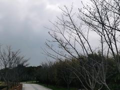 -上海山野camping·户外天幕烧烤·团建拓展营地
