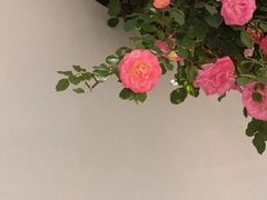 -延边丰茂串城(东三店)