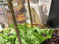 -芸山季·云南山珍菌火锅(南翔印象城MEGA店)