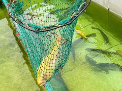 -钰田大院•怀柔本土菜(雁栖湖店)