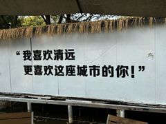 -芭厘农庄老字号·清远鸡