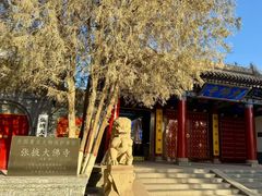 -张掖大佛寺景区