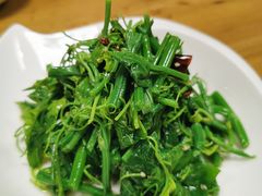 炝拌龙须菜-東舍食唐精品陕菜馆