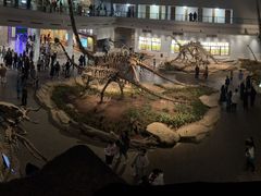 -自贡恐龙博物馆