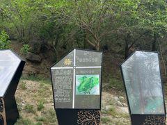 -白水寺森林公园