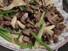 -爱贝尔高端月嫂(母婴护理)