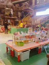 -卡通尼·Safari非洲探索乐园·生日会(金桥国际商业广场店)