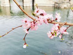 -颐和园
