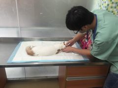 -爱侣宠医·鹦鹉专科·小型哺乳类·异宠专科(灵石路店)