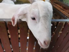 -上海大自然野生昆虫馆
