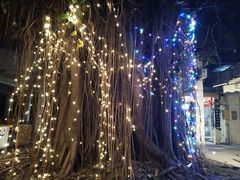 -牛杂大叔(园岭总店)