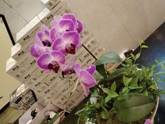-泰山廊亦舫(丽景店)