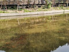 -白水寺森林公园