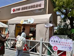 -嘉定紫藤园