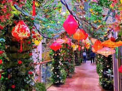 -正佳雨林生态植物园