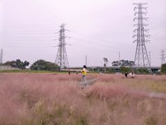-王借岗森林公园