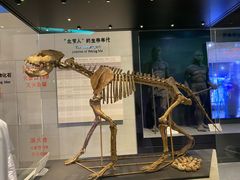 -北京周口店北京人遗址博物馆