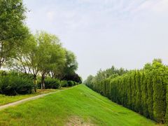 -灞河西岸滨河公园