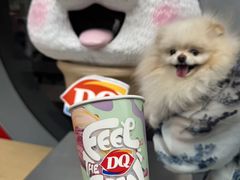 -DQ·蛋糕·冰淇淋(五角场万达店)