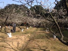 -白马涧龙池景区