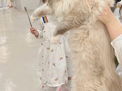 -共舞时光猫咖·狗咖(新街口店)