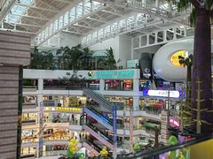 -正佳雨林生态植物园