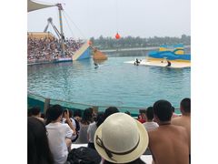 -秦皇岛乐岛海洋王国